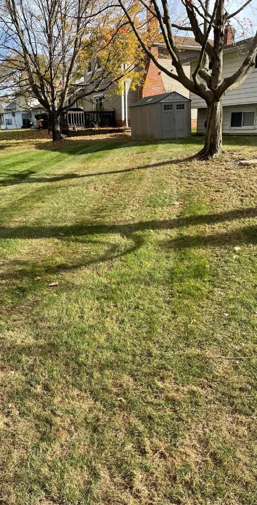 Residential yard after fallen leaves were cleared